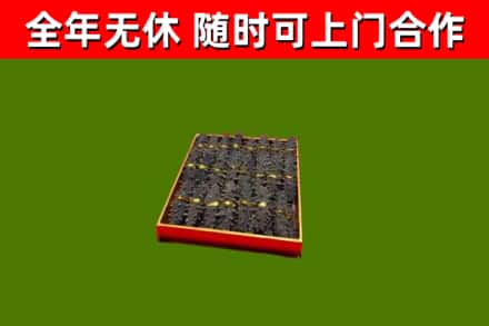 庆阳回收海参